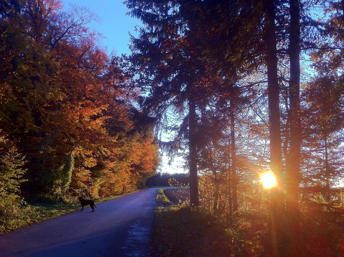 Gasthof Teufl Purgstall an der Erlauf Dış mekan fotoğraf